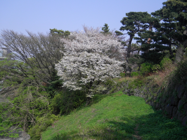 img-20190510171308